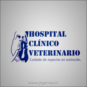 Hospital Clinico Veterinario